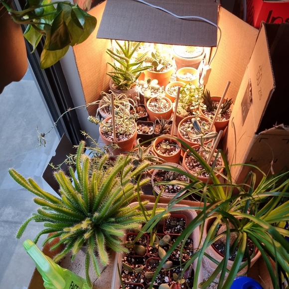 Meet your Posher, Danielle - Picture 2 of 4